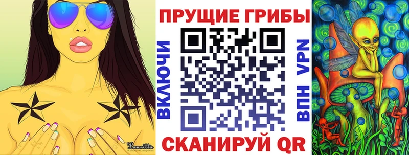 купить наркоту  Карачев  Галлюциногенные грибы мицелий 